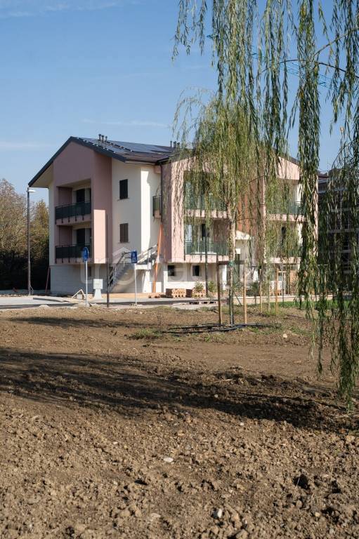 immagine annuncio 5 di 11