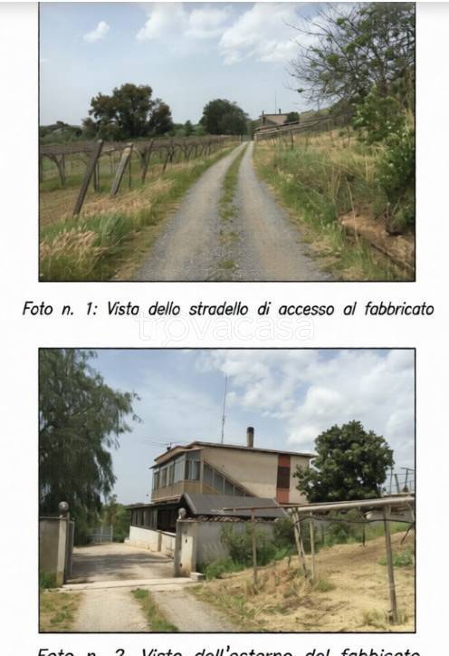 immagine annuncio 1 di 2