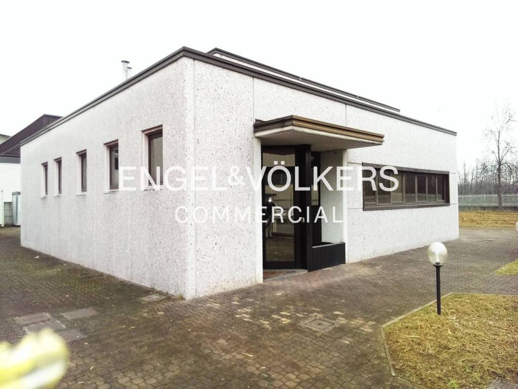 immagine annuncio 1 di 8