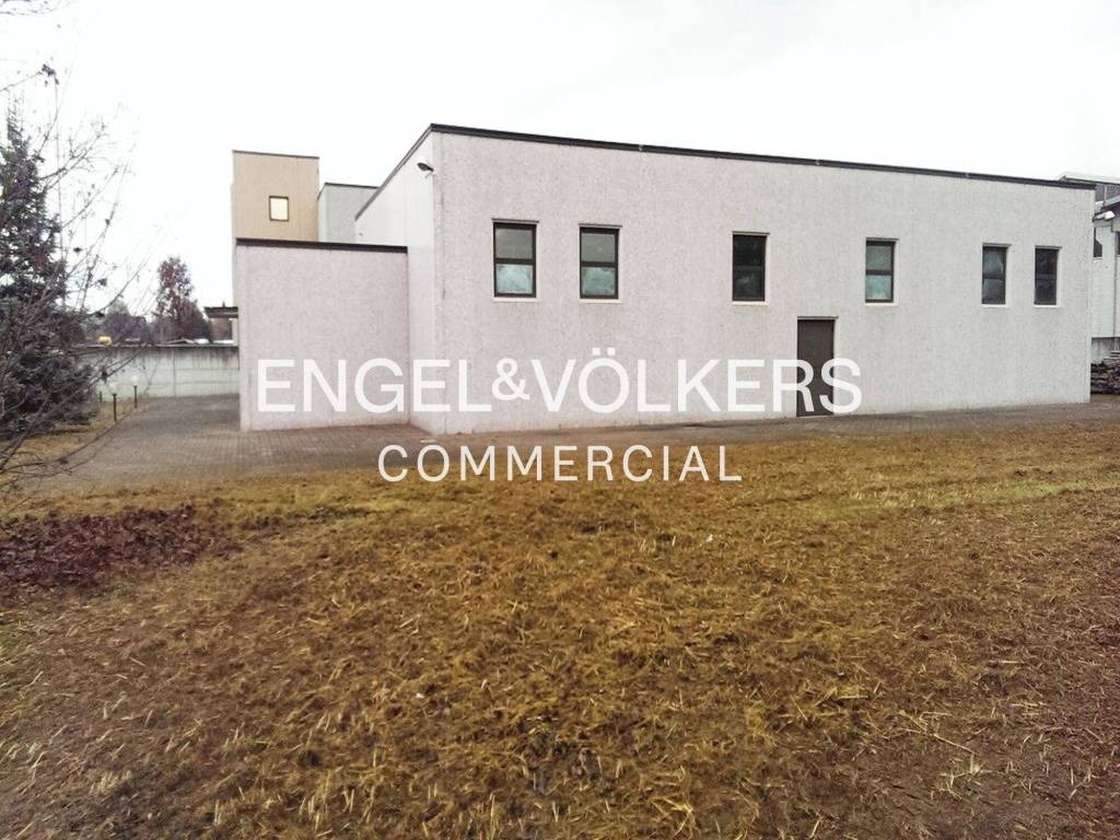 immagine annuncio 2 di 8