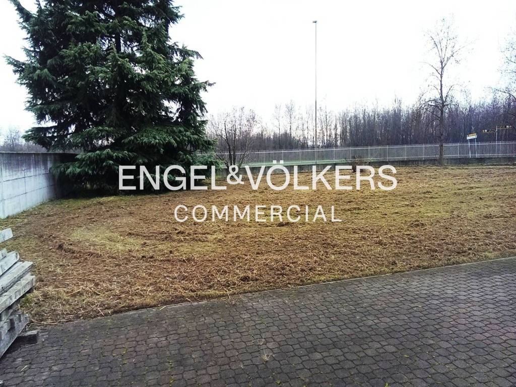 immagine annuncio 4 di 8