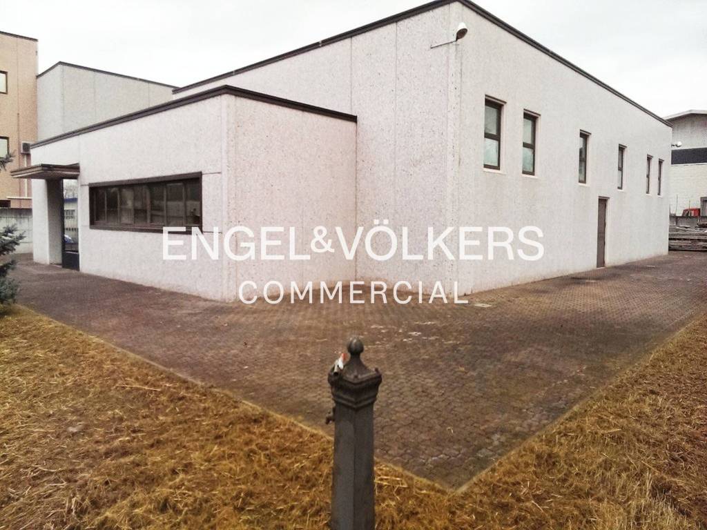 immagine annuncio 5 di 8