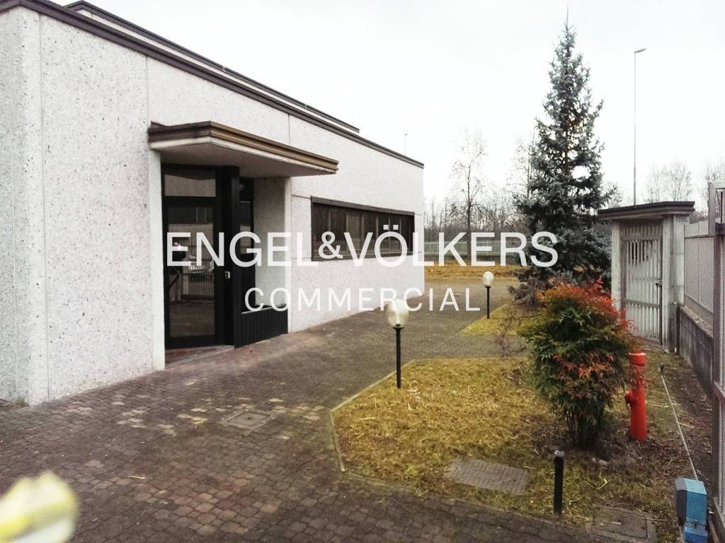 immagine annuncio 6 di 8