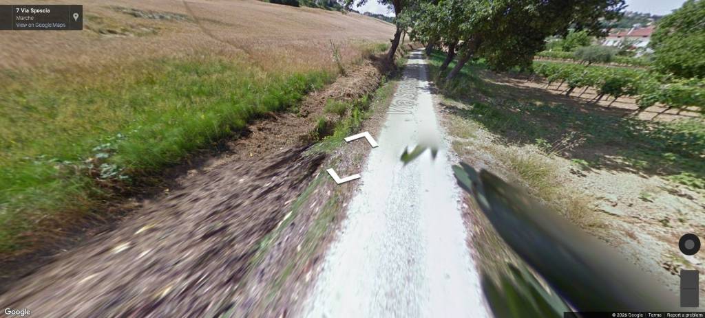 immagine annuncio 4 di 11