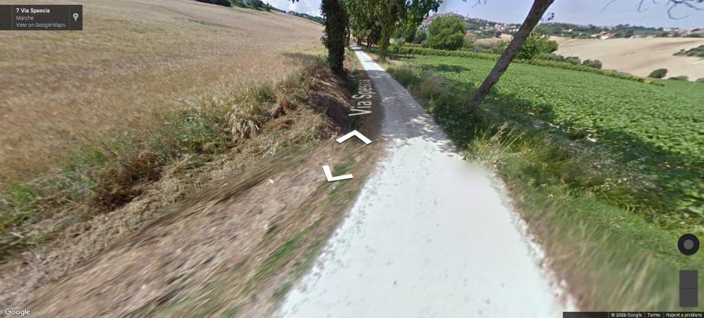 immagine annuncio 5 di 11