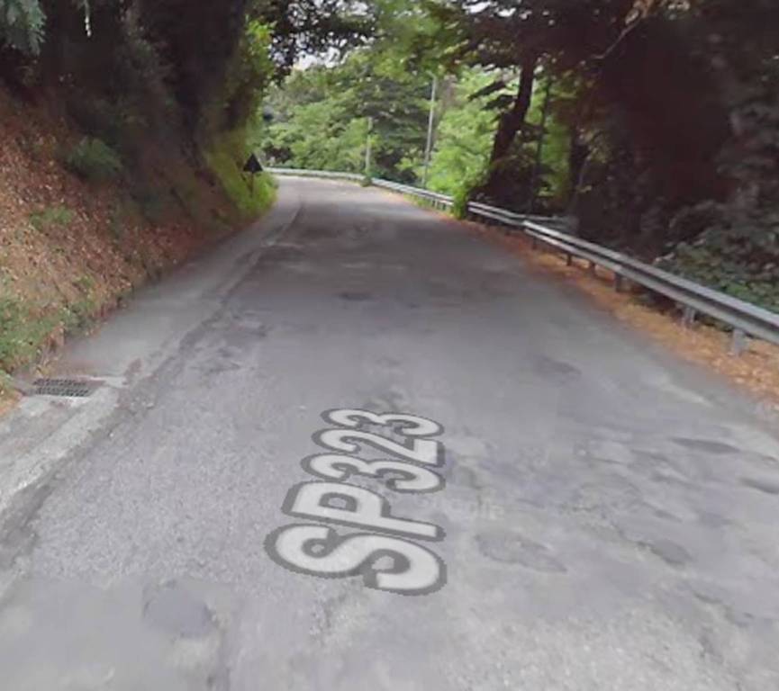 immagine annuncio 2 di 11