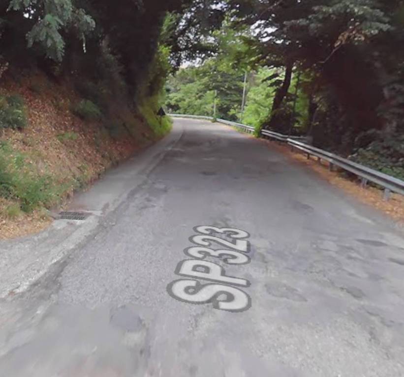 immagine annuncio 3 di 11