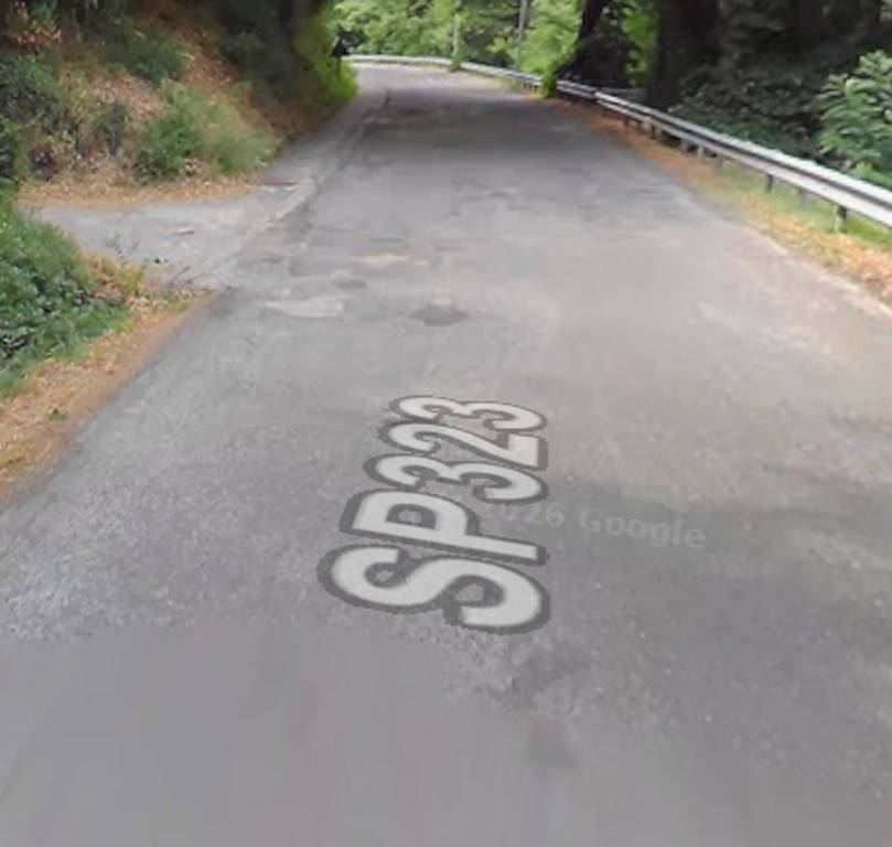 immagine annuncio 6 di 11