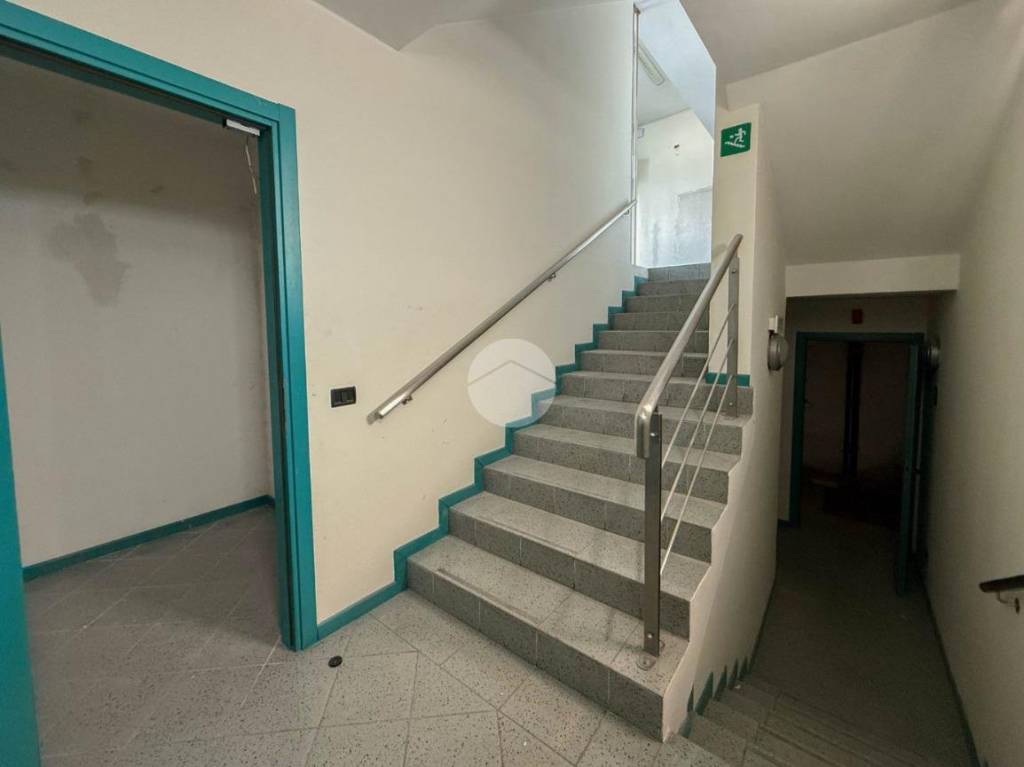 immagine annuncio 11 di 14