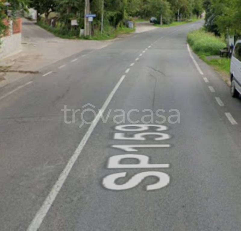 immagine annuncio 11 di 14