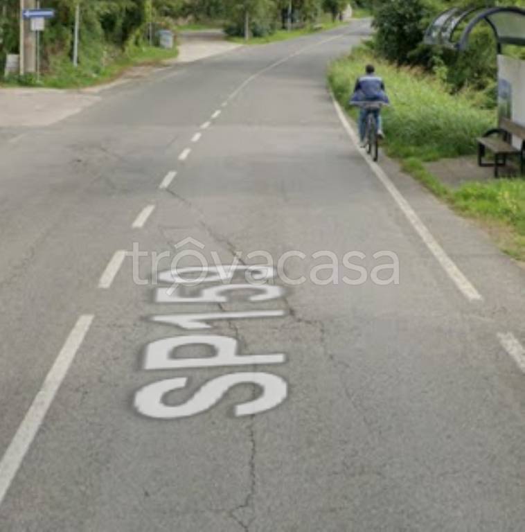 immagine annuncio 12 di 14