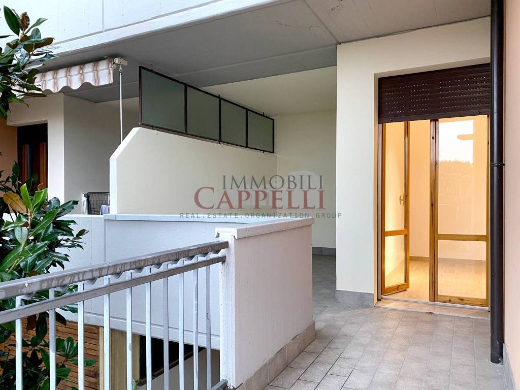 immagine annuncio 3 di 14