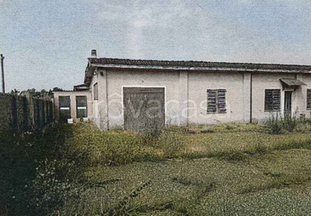 immagine annuncio 6 di 12