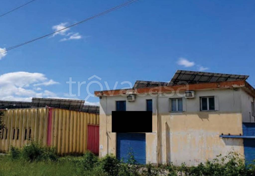 immagine annuncio 7 di 11