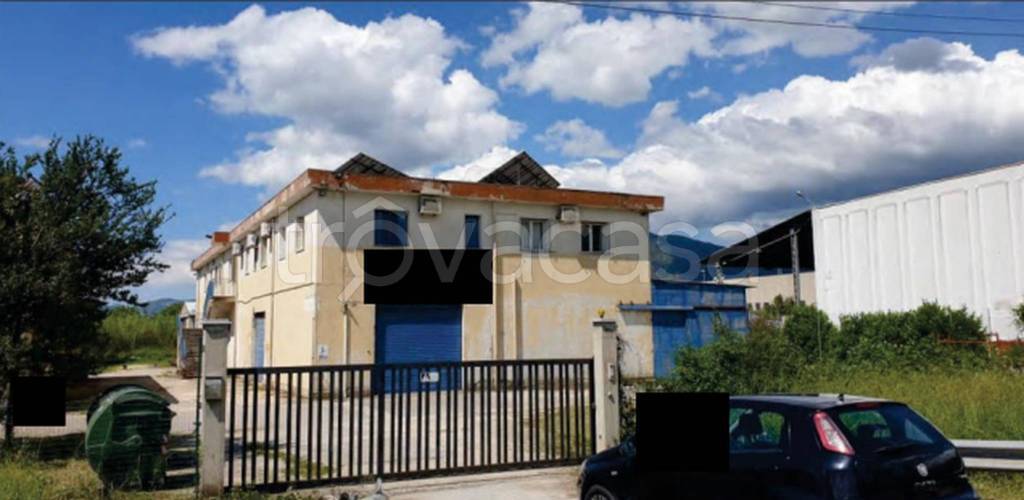 immagine annuncio 10 di 11