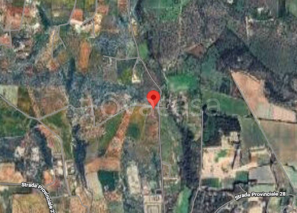 immagine annuncio 3 di 11