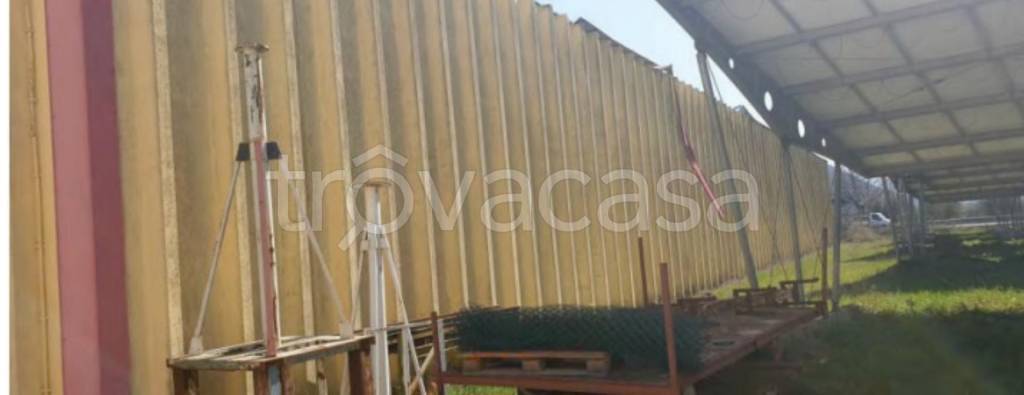 immagine annuncio 4 di 11