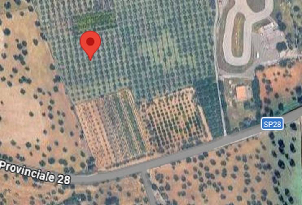 immagine annuncio 9 di 10