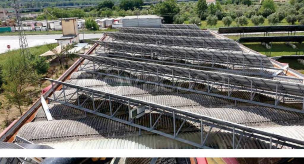 immagine annuncio 9 di 11