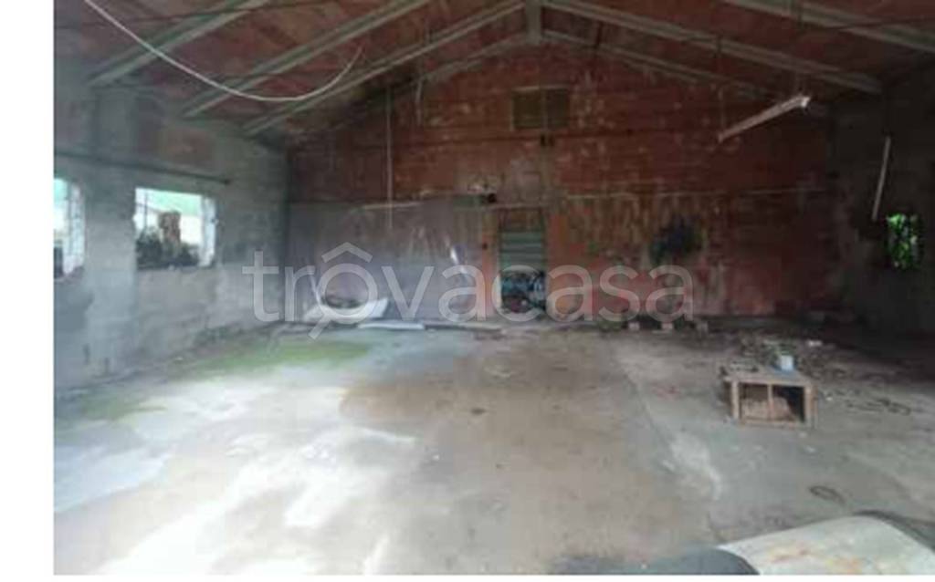 immagine annuncio 5 di 12