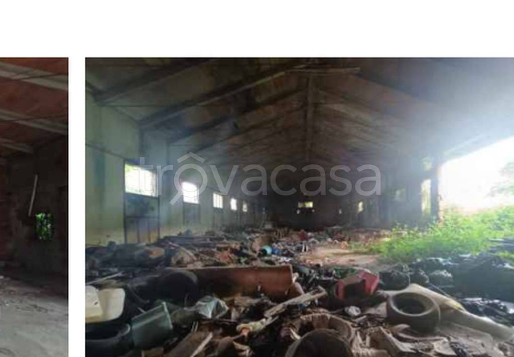 immagine annuncio 6 di 12