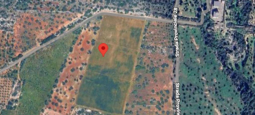 immagine annuncio 2 di 12