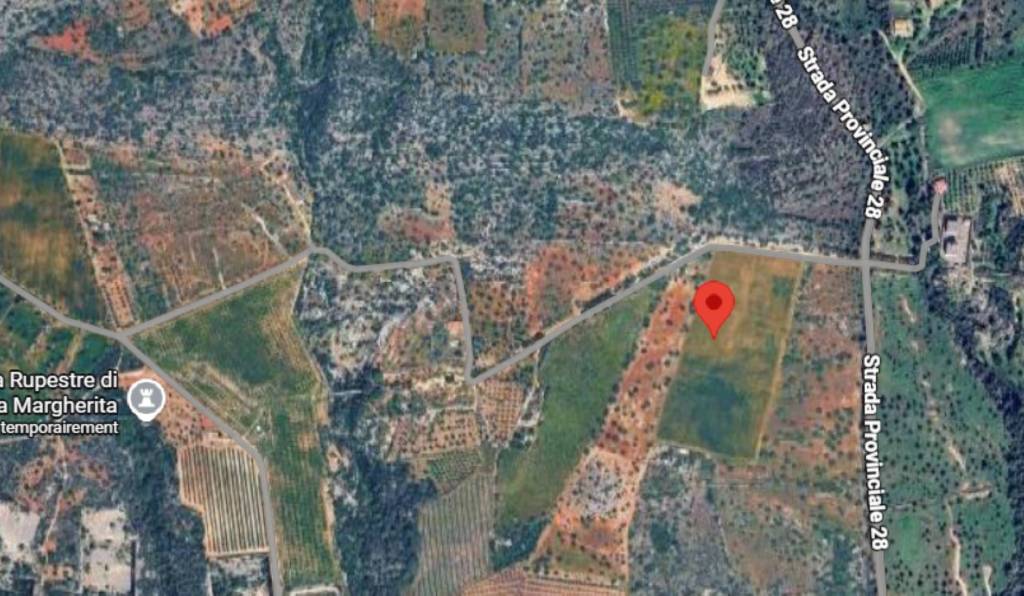 immagine annuncio 3 di 12