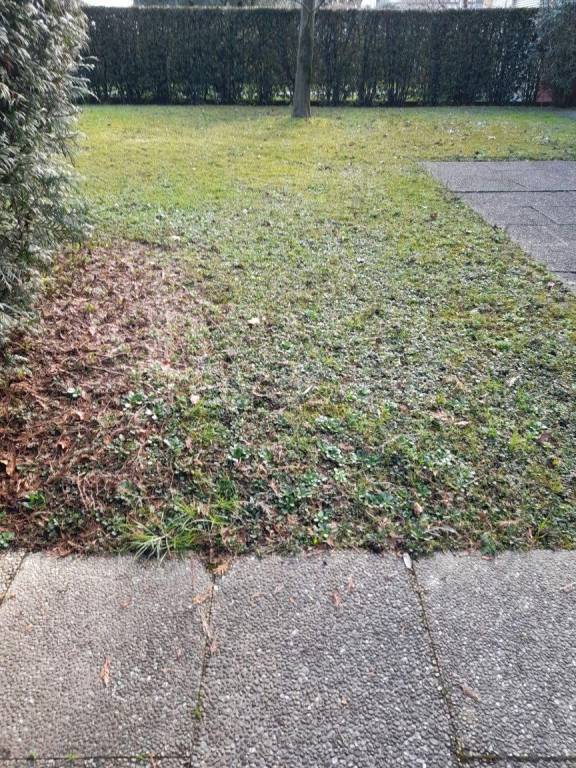 immagine annuncio 6 di 9