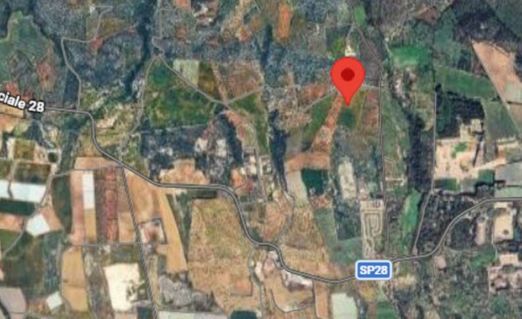 immagine annuncio 5 di 12