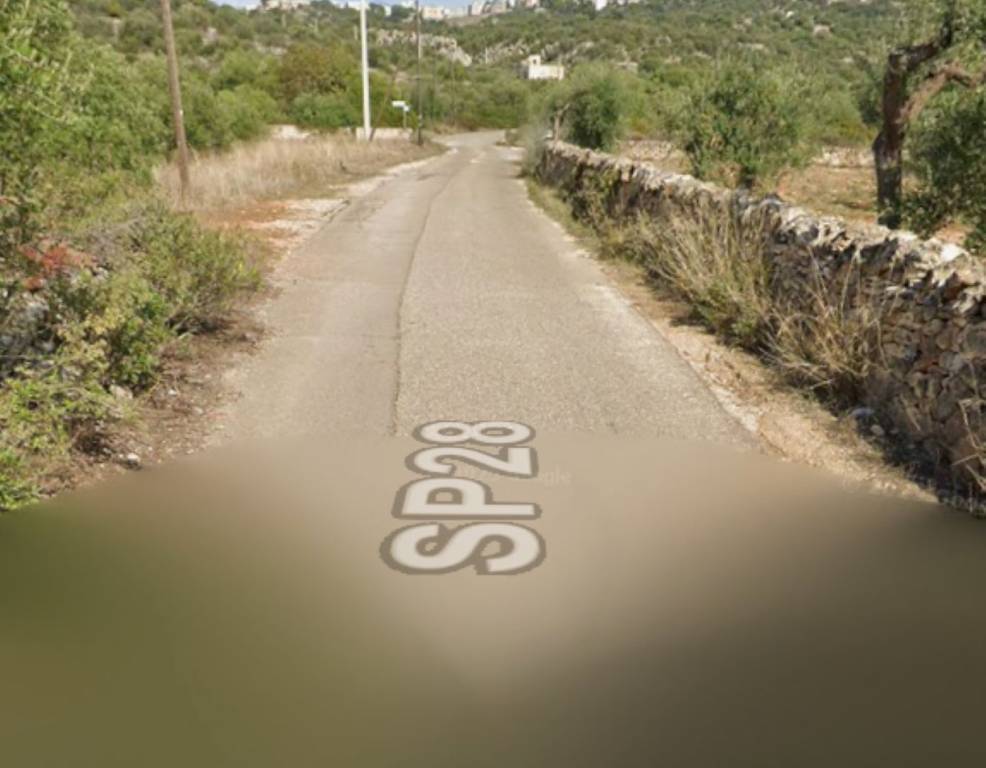 immagine annuncio 11 di 12