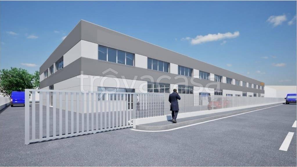 immagine annuncio 2 di 6