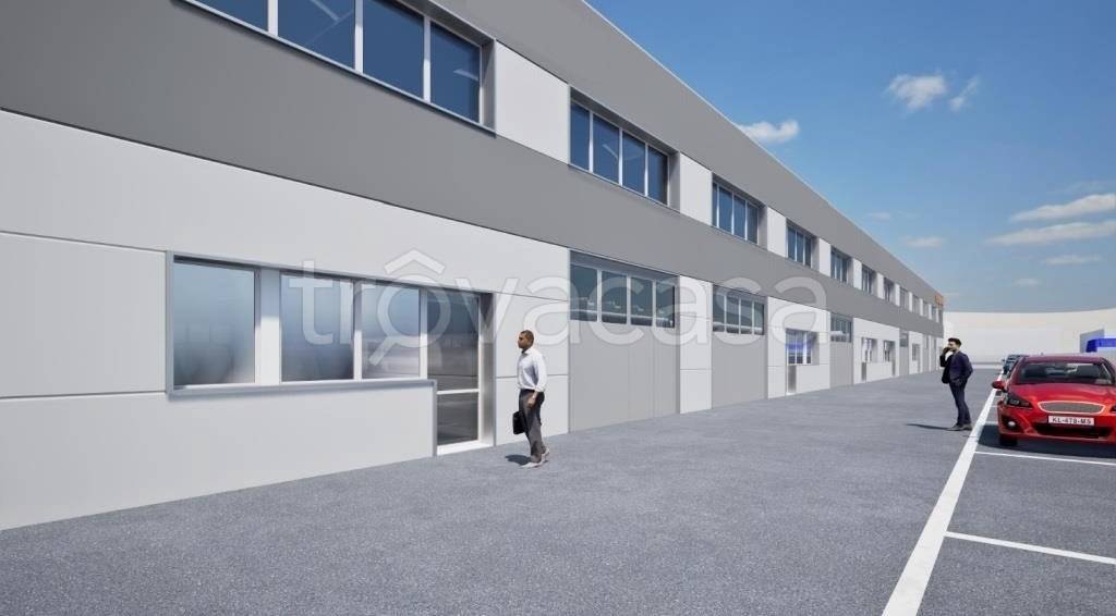 immagine annuncio 3 di 6