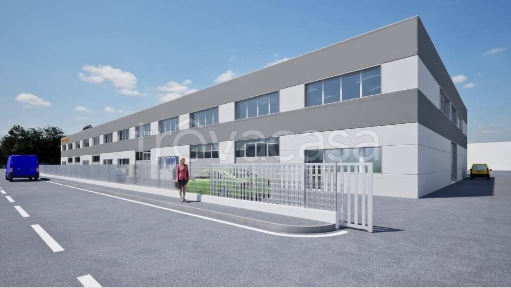 immagine annuncio 4 di 6