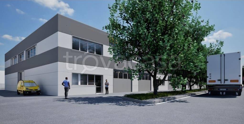 immagine annuncio 5 di 6