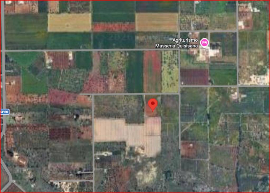 immagine annuncio 10 di 11