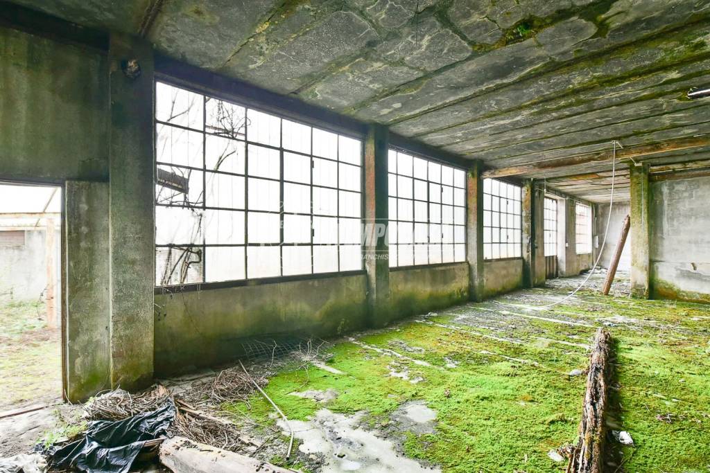 immagine annuncio 4 di 11