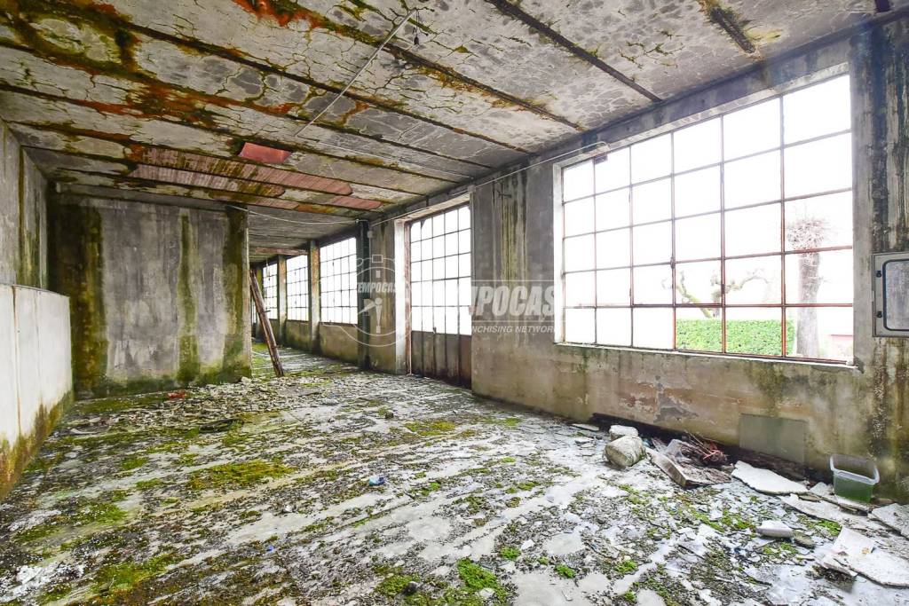 immagine annuncio 6 di 11