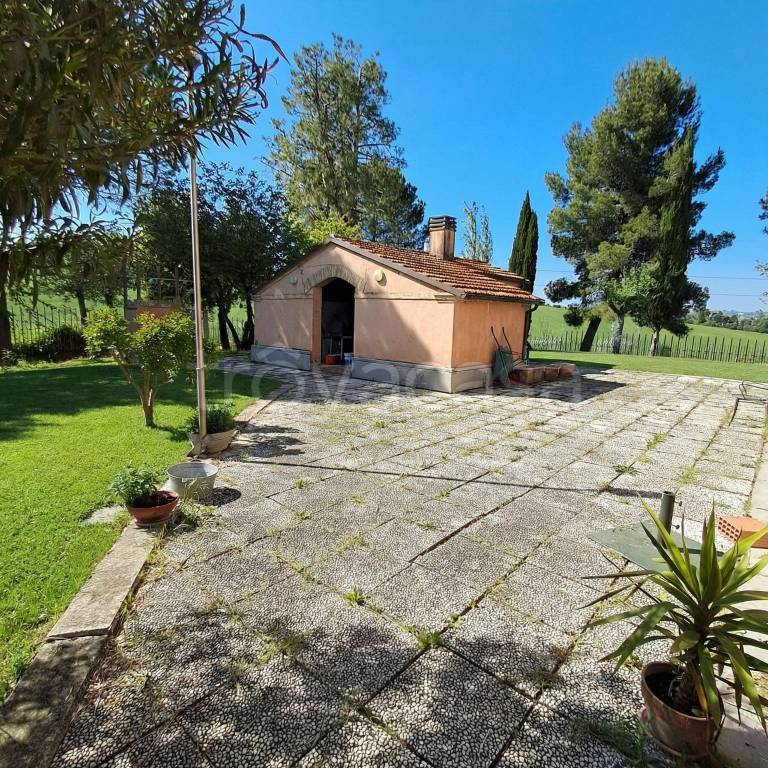 immagine annuncio 7 di 15