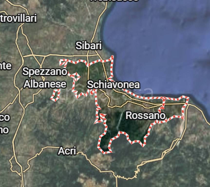 immagine annuncio 10 di 12