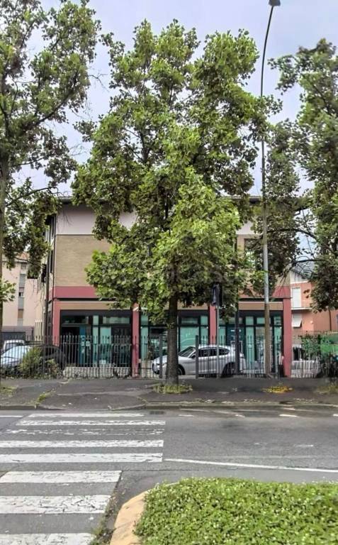 immagine annuncio 4 di 13