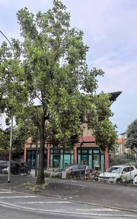 immagine annuncio 6 di 13