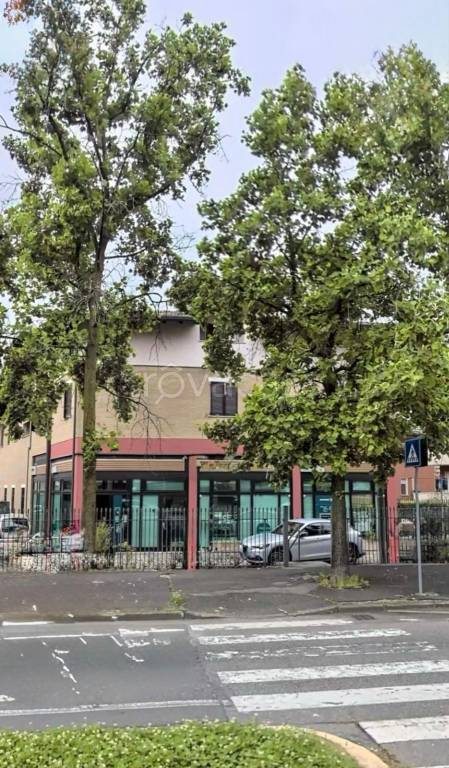 immagine annuncio 8 di 13