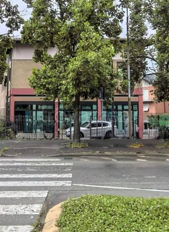 immagine annuncio 11 di 13