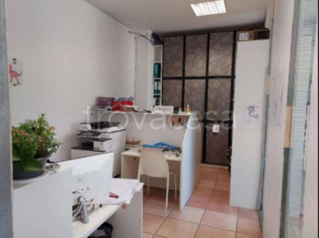 immagine annuncio 5 di 11