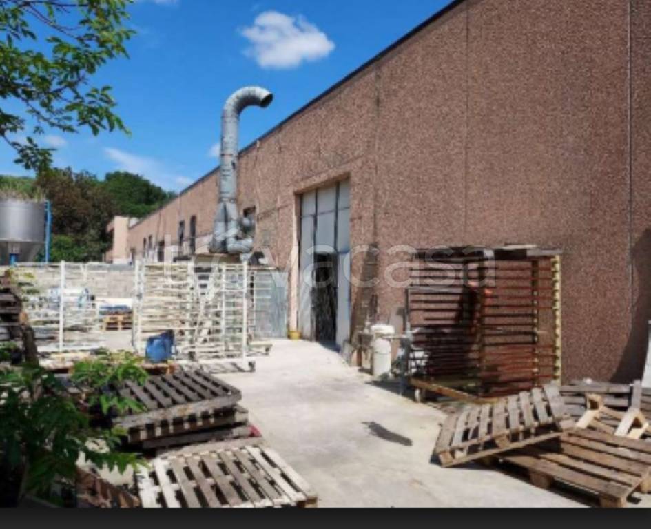 immagine annuncio 7 di 11