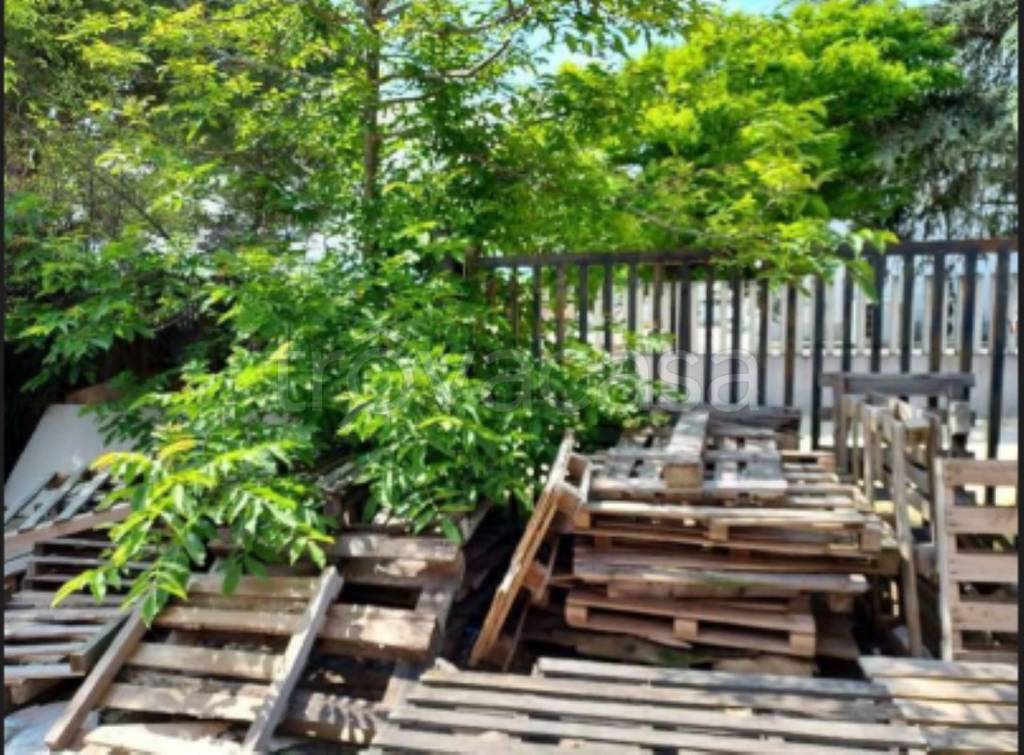 immagine annuncio 8 di 11