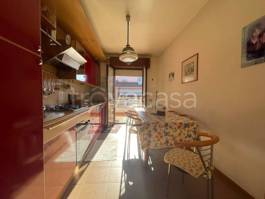 immagine annuncio 5 di 14