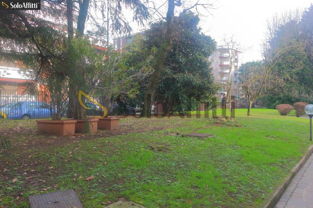 immagine annuncio 10 di 13