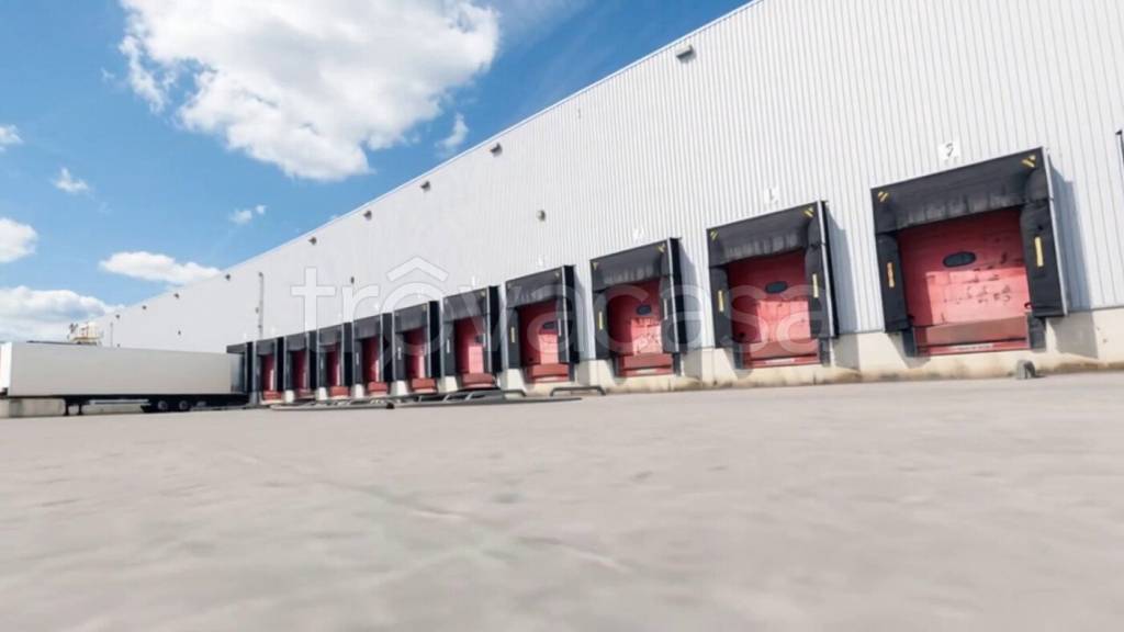 immagine annuncio 5 di 12