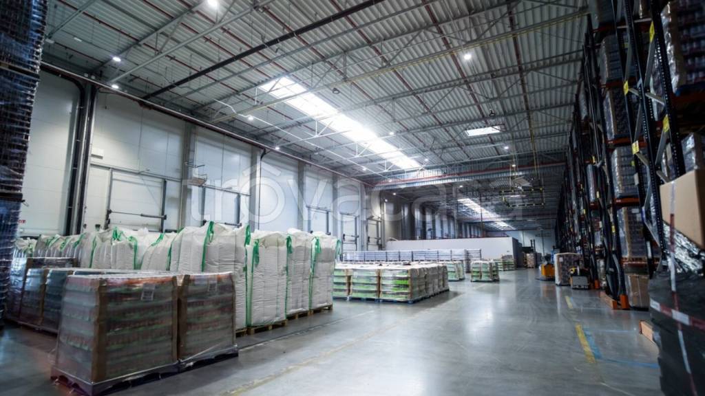 immagine annuncio 10 di 12